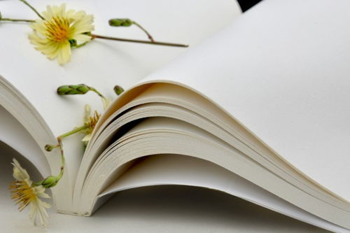 文藝視角下的長(zhǎng)征精神學(xué)習(xí)心得